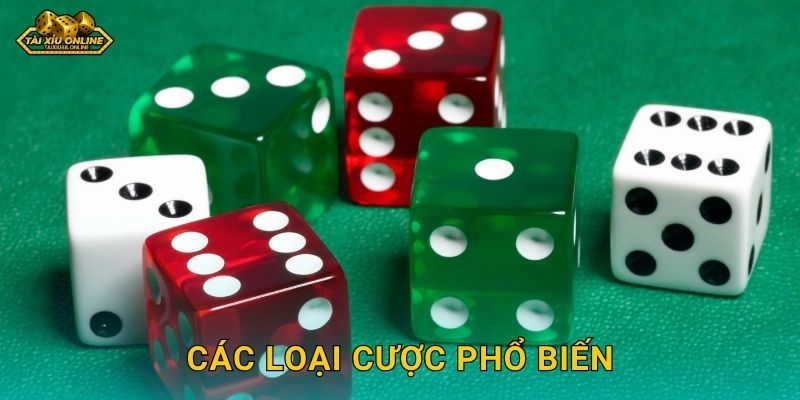 Hiểu luật trò chơi xúc xắc để thành công tại Tài xỉu online 3 Các loại cược phổ biến